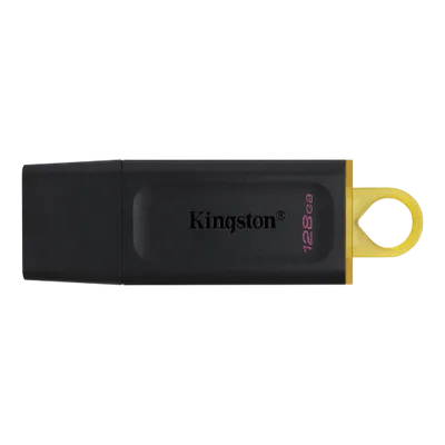 Flash memory device KINGSTON DTX