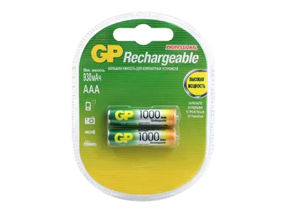 Charger GP AAA 1000MAH 100AAAHC-2PL2