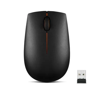 300 Wireless Compact
