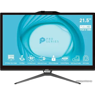 Pro AP222T 13M-013RU Touch