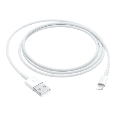 Cable LIGHTNING TO USB ADAPTER