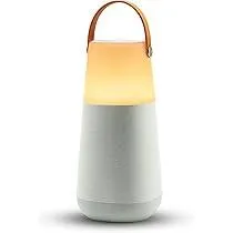 Speaker ION Bright Max