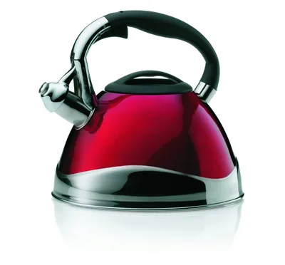 11658 Whistling kettle Varus 22cm 3.0L