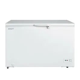 Freezer Kraft BD W -520QX