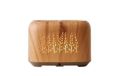 Air Humidifier Small