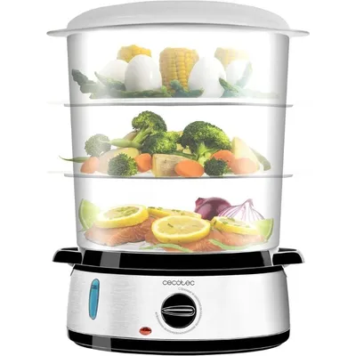 Steamer Cecotec 04109 Vapovita 3000 Inox