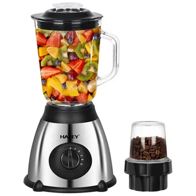 HALEY HY-2909 Blenderner