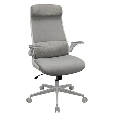 Gaming chair COUGAR Stryder 3MSTDASW.0001