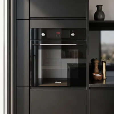 Built-in oven HANSA BOES68461