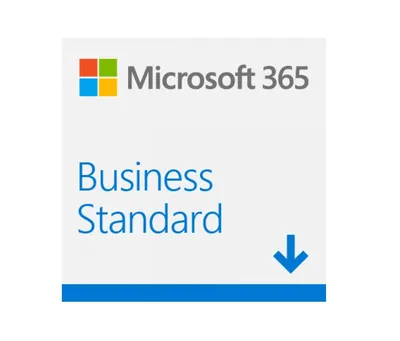 365 Business Standard