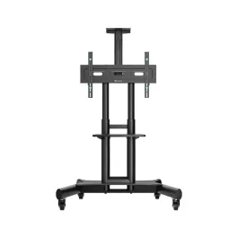 TS1551 TV floor stand