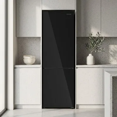 Refrigerator HOFFMANN HR252NFDF- -GLASS