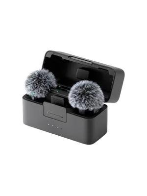 MINI 2 1 TX 1 RX