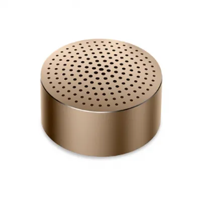 Speaker Mi Small