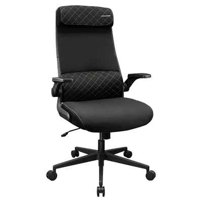 Gaming chair COUGAR Stryder 3MSTDBLB.0001