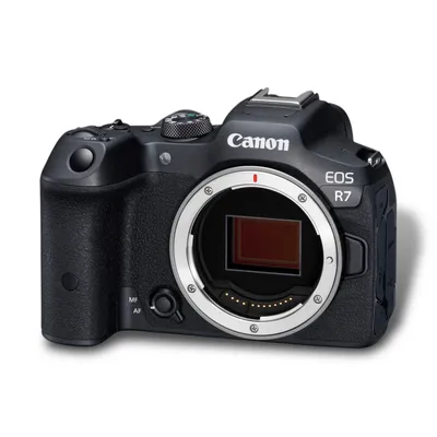 Camera Canon EOS R7 Body