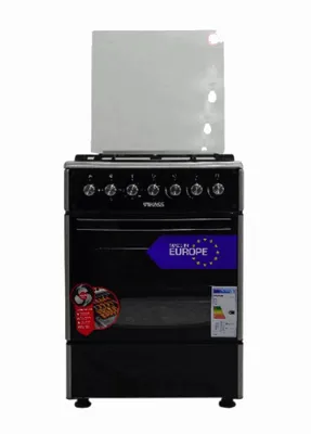 Gas-electric cooker VIKASS VG7031GI