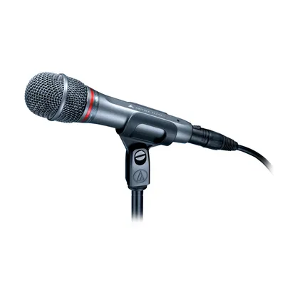 Microphone Audio-Technica AE6100