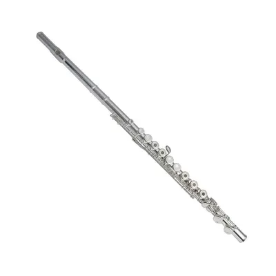 Armstrong FL650E Flute