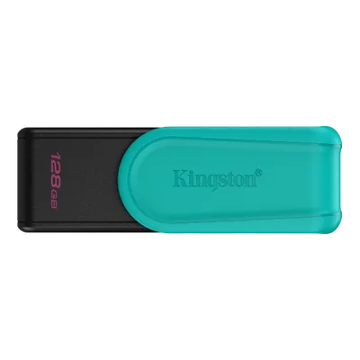 Flash memory device KINGSTON DTXS