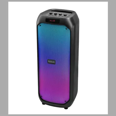 Active speaker Muhler 1009091