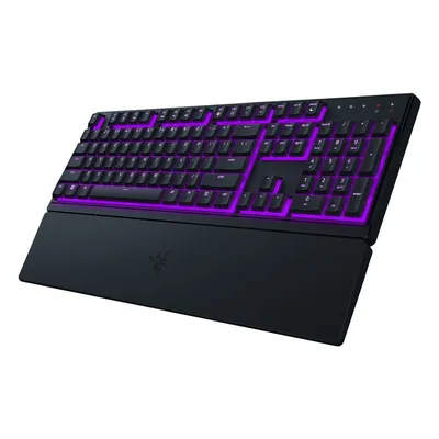 Խաղային ստեղնաշար Razer ORNATA V3 X USB