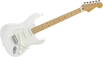 Fender Player Strat MN PWT