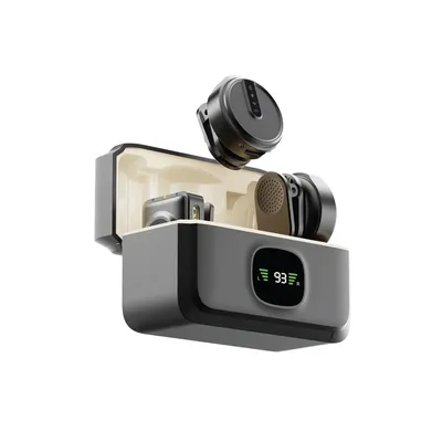 Lion GLM Professional Microphone