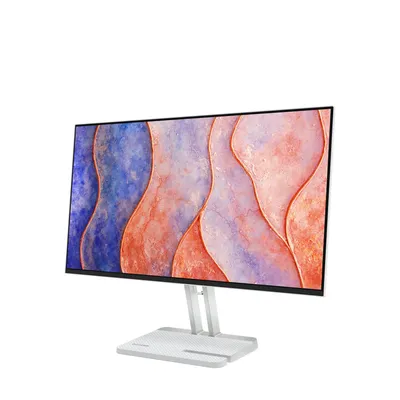 Monitor Lenovo L24-4C 67DDKAC6EU 23