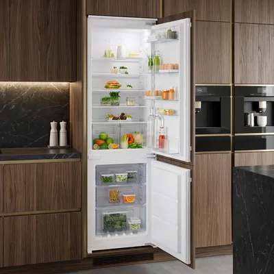Refrigerator built in ELECTROLUX ENT6NE18S