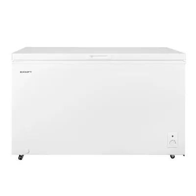 BD W-460RX