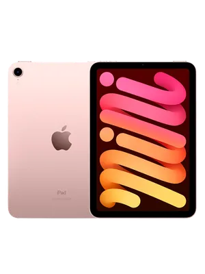 iPad mini 6