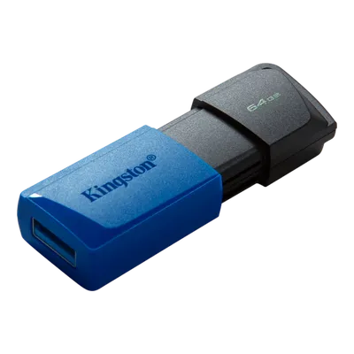 Flash memory card KINGSTON DTXM