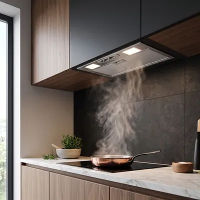 Built-in cooker hood AEG DGB3523S 52 cm