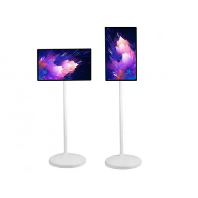 Monitor 24 TX24-1