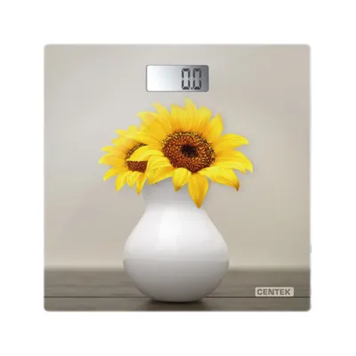 Bathroom scale CENTEK CT-2428