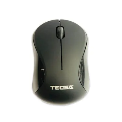 Wireless Mouse S200
