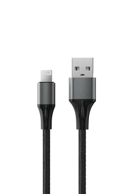 Accesstyle AL24-F100M