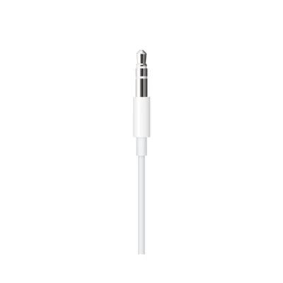 Lightning to 3.5 mm audio cable Apple Lightning to 3.5 mm Audio Cable 1