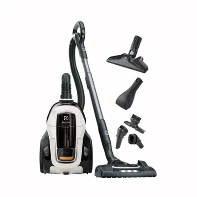 Vacuum cleaner Electrolux PC91-ALRG