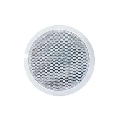 Ceiling speaker 810