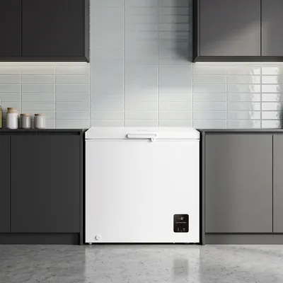 Chest freezer Gorenje FH19EAW
