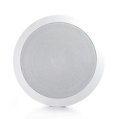 Ceiling speaker 165-5