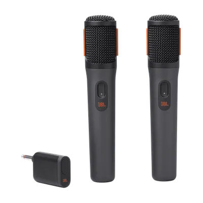 Mic 300