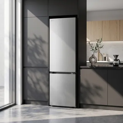 Refrigerator LG LBB509EMYW