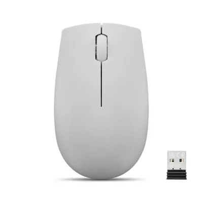 300 Wireless Compact Arctic