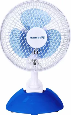 Electric desk fan Hausberg HB-5550