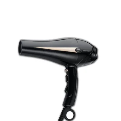 Lion Professional Hair Dryer 2000W
