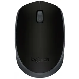 PC mouse Logitech M171