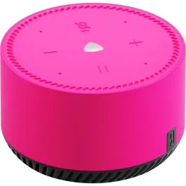 Speaker Station Lite YNDX-00025